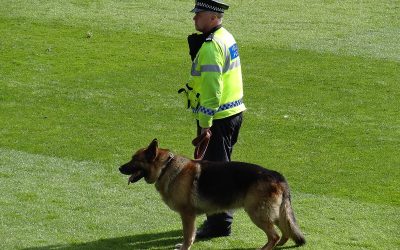 The Defence Toolkit – December 9, 2023: The state cannot benefit from illegal police acts