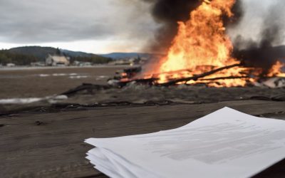 The Defence Toolkit – June 28, 2025: Ares v. Venner and Expert Evidence