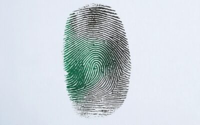 The Defence Toolkit – June 20, 2026: Fingerprints